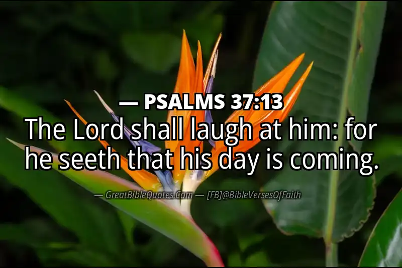 PSALMS 37:13 Verse
