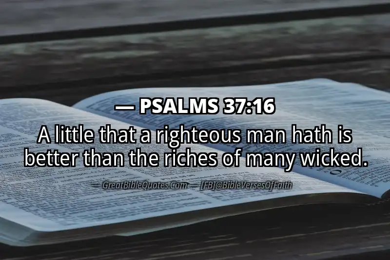 PSALMS 37:16 Verse