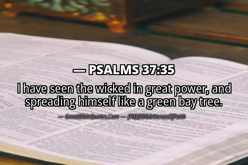 PSALMS 37:35 Verse Image