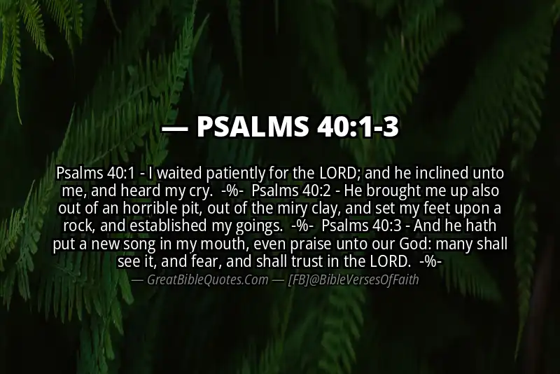 Image for PSALMS 40:1-3 Bible verse