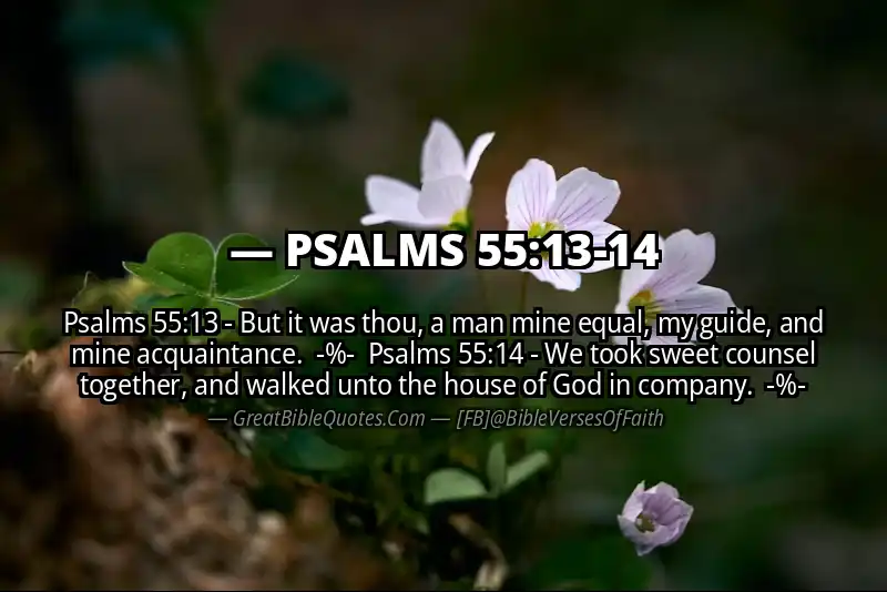 Image for PSALMS 55:13-14 Bible verse