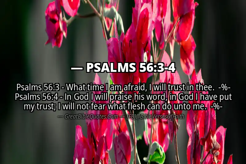 Image for PSALMS 56:3-4 Bible verse