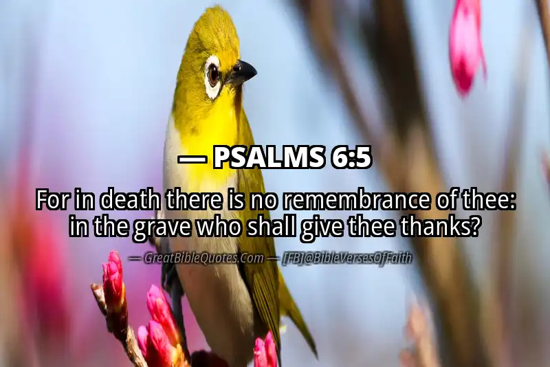 Bible verse: PSALMS 6:5 Image