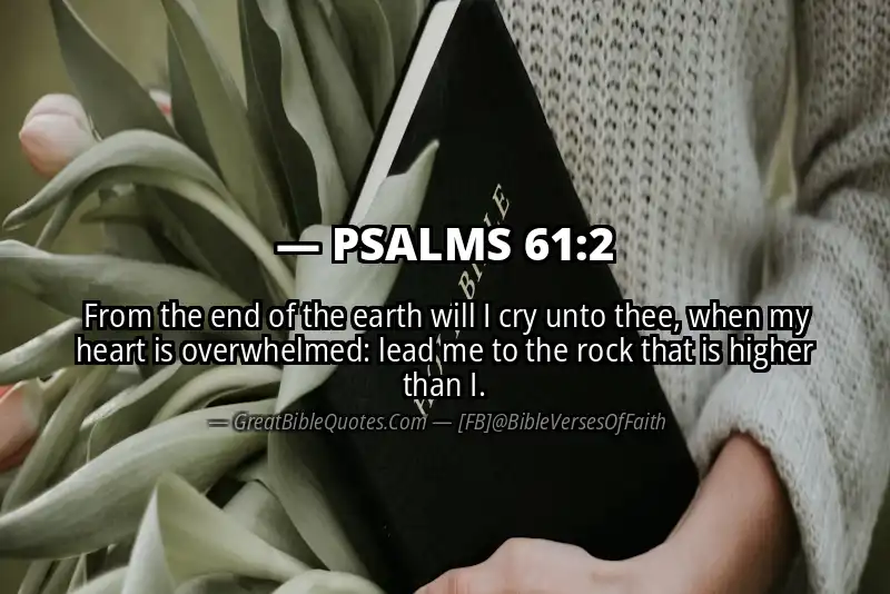 PSALMS 61:2 Verse Image