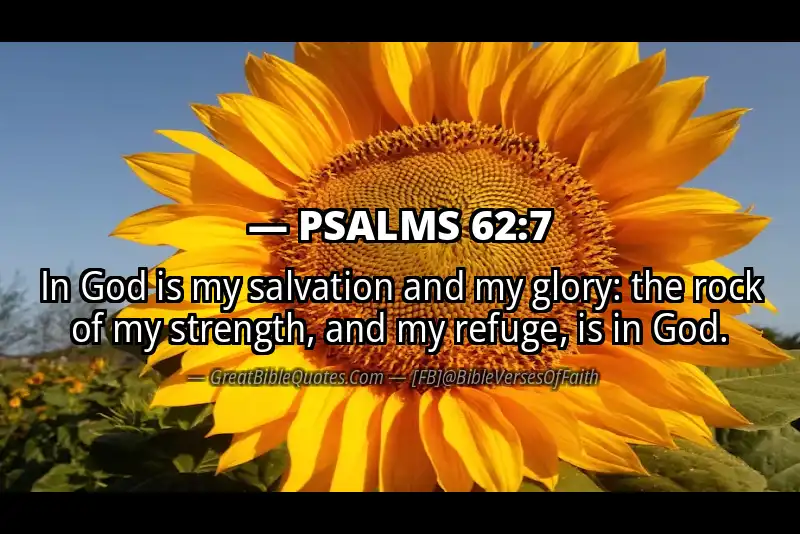PSALMS 62:7 Verse