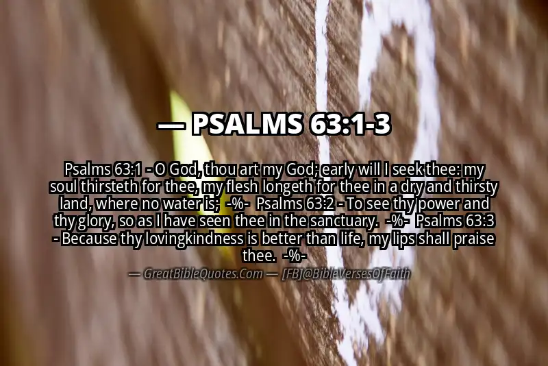 Image for PSALMS 63:1-3 Bible verse