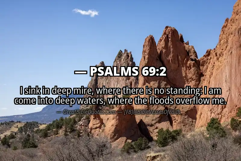 PSALMS 69:2 Verse