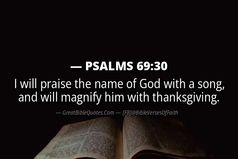PSALMS 69:30 Verse Image