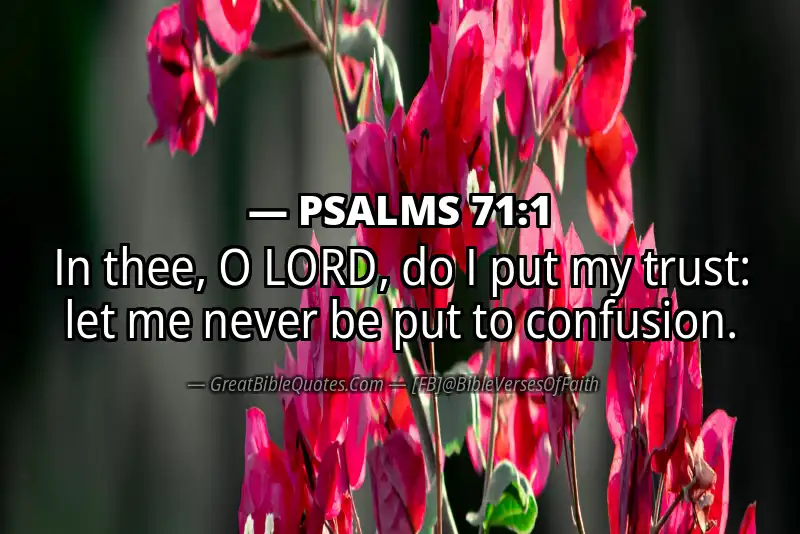PSALMS 71:1 Verse Image