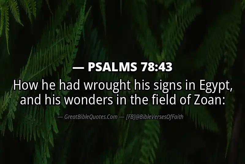 PSALMS 78:43 Verse
