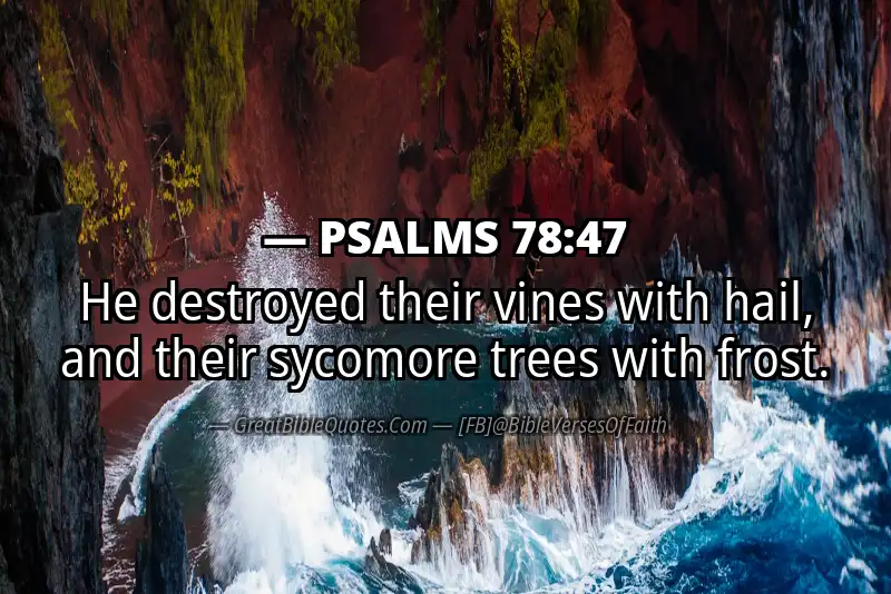 PSALMS 78:47 Verse Image