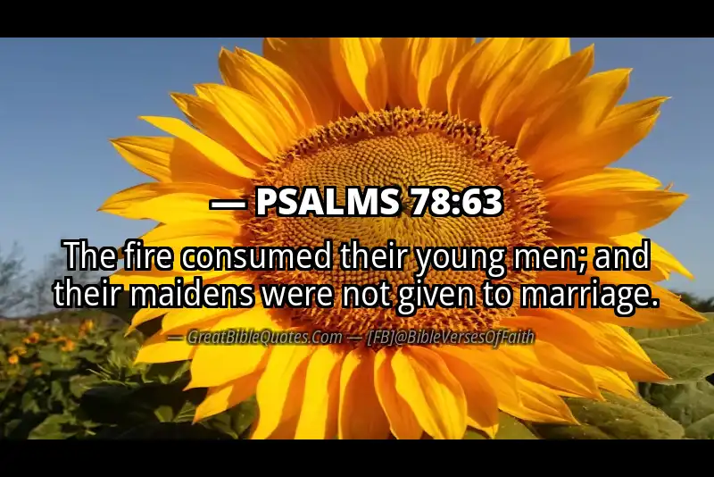 PSALMS 78:63 Verse