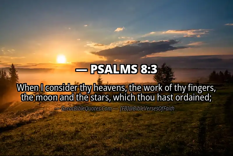 Bible verse: PSALMS 8:3 Image