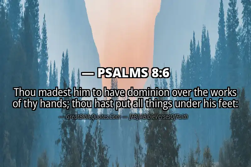 Bible verse: PSALMS 8:6 Image