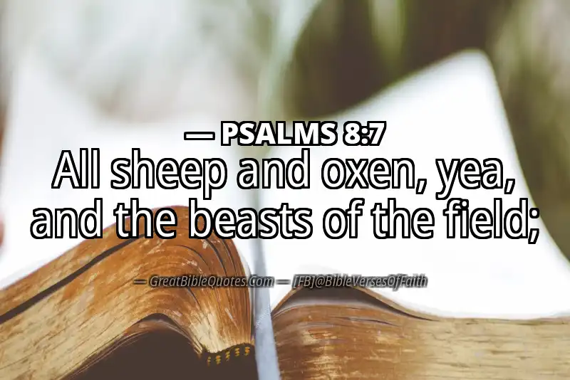 Bible verse: PSALMS 8:7 Image