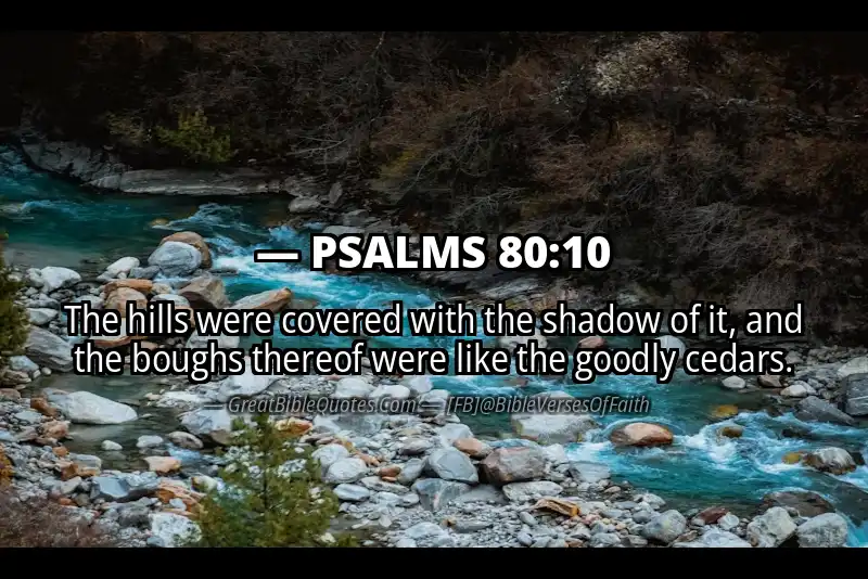 PSALMS 80:10 Verse Image