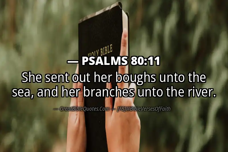 PSALMS 80:11 Verse Image