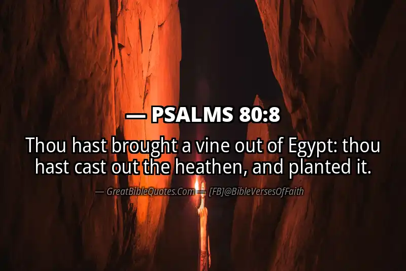 PSALMS 80:8 Verse Image