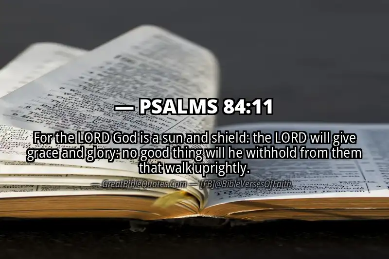 Image for PSALMS 84:11 Bible verse