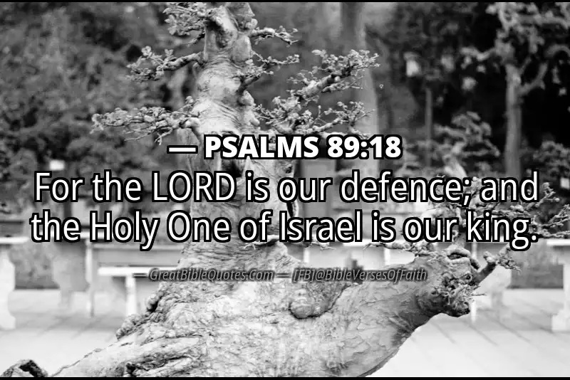PSALMS 89:18 Verse