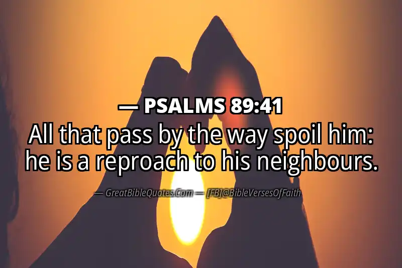PSALMS 89:41 Verse