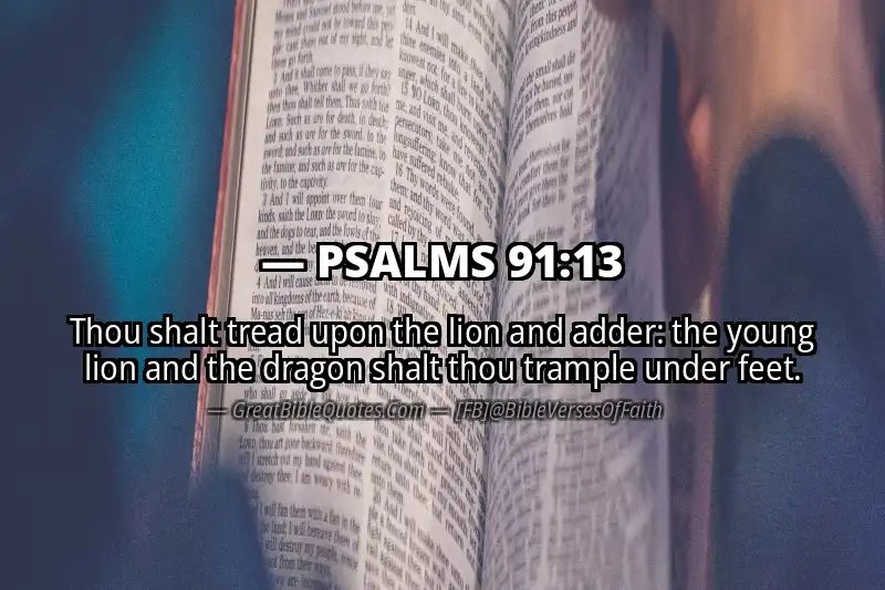 PSALMS 91:13 Verse