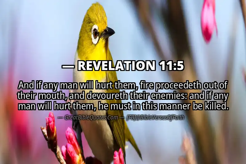 Bible verse: REVELATION 11:5 Image