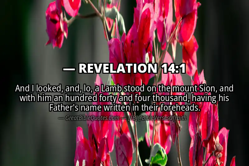 REVELATION 14:1 Verse Image