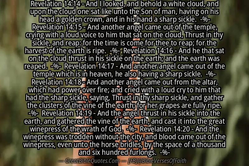 Image for REVELATION 14:14-20 Bible verse
