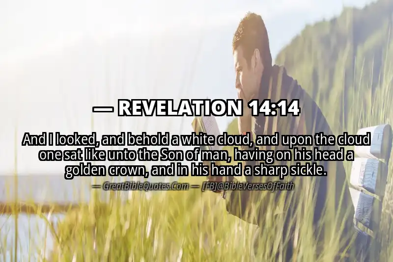REVELATION 14:14 Verse
