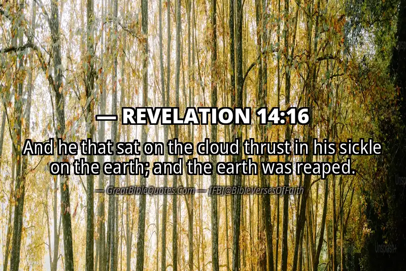 Bible verse: REVELATION 14:16 Image