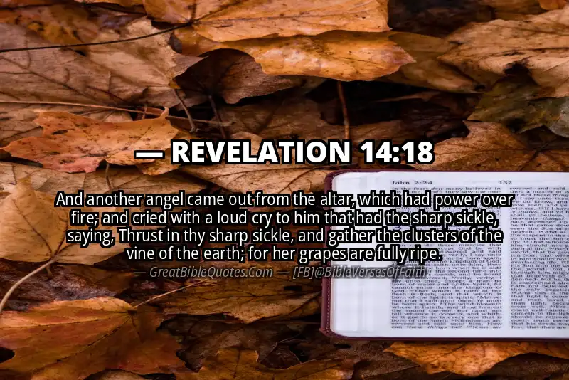 Bible verse: REVELATION 14:18 Image