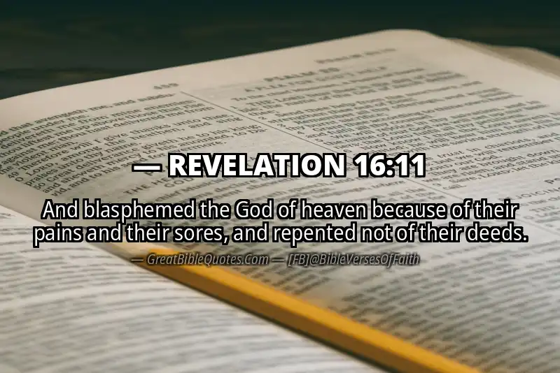 Bible verse: REVELATION 16:11 Image