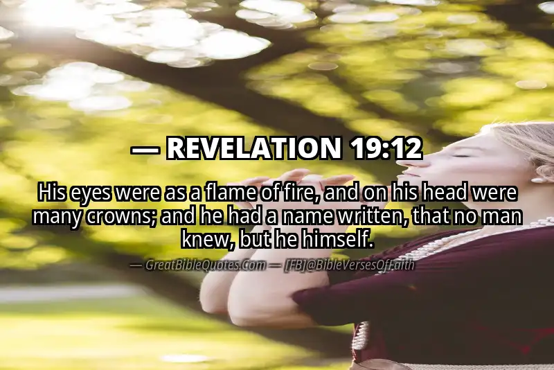 Bible verse: REVELATION 19:12 Image