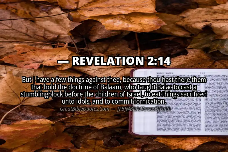 Bible verse: REVELATION 2:14 Image