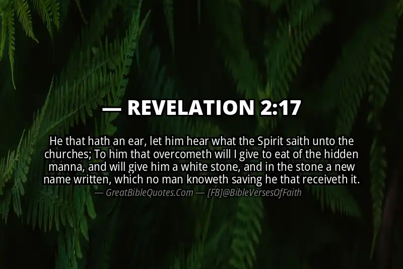 Bible verse: REVELATION 2:17 Image