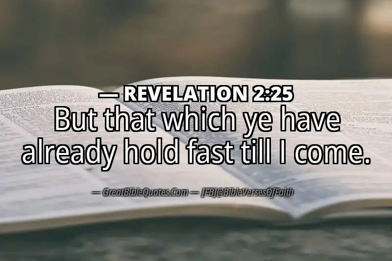 Bible verse: REVELATION 2:25 Image