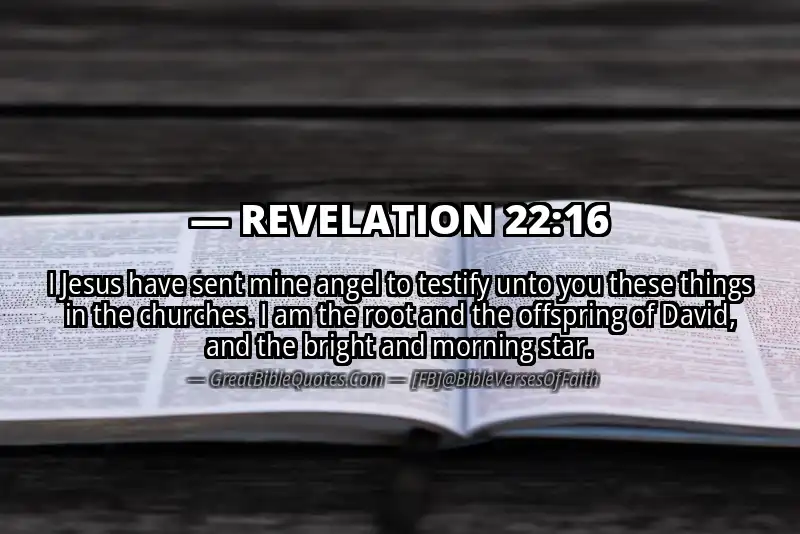 REVELATION 22:16 Verse