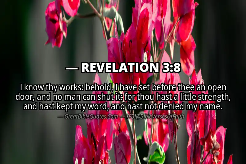 Bible verse: REVELATION 3:8 Image