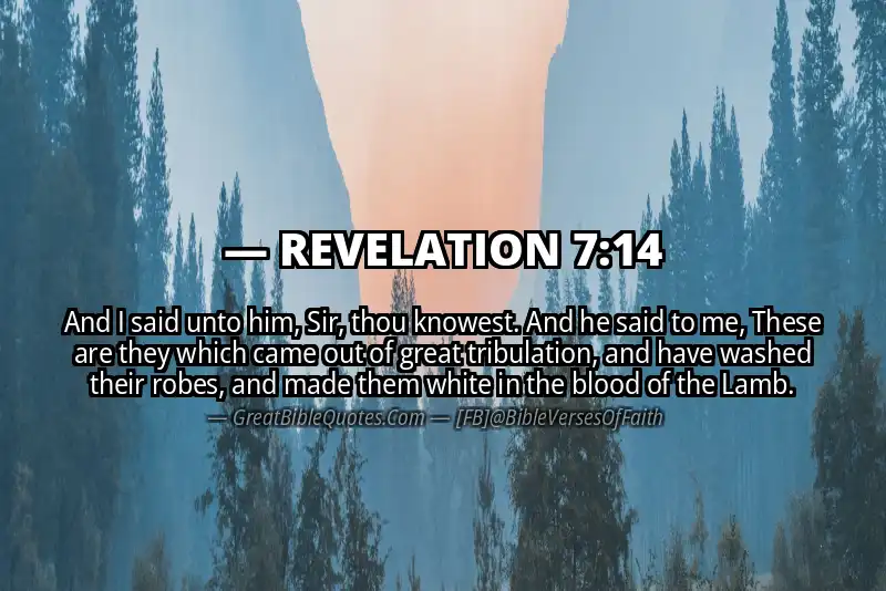 REVELATION 7:14 Verse