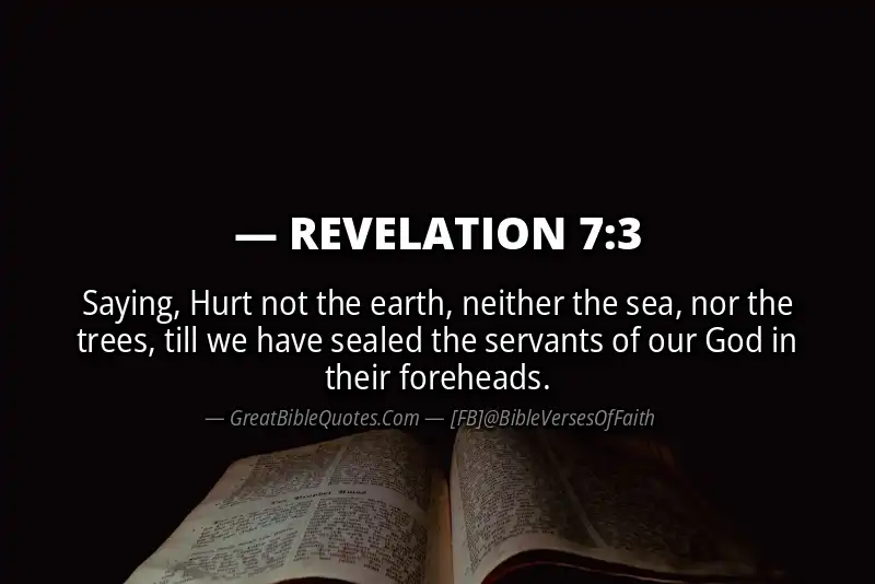 Bible verse: REVELATION 7:3 Image