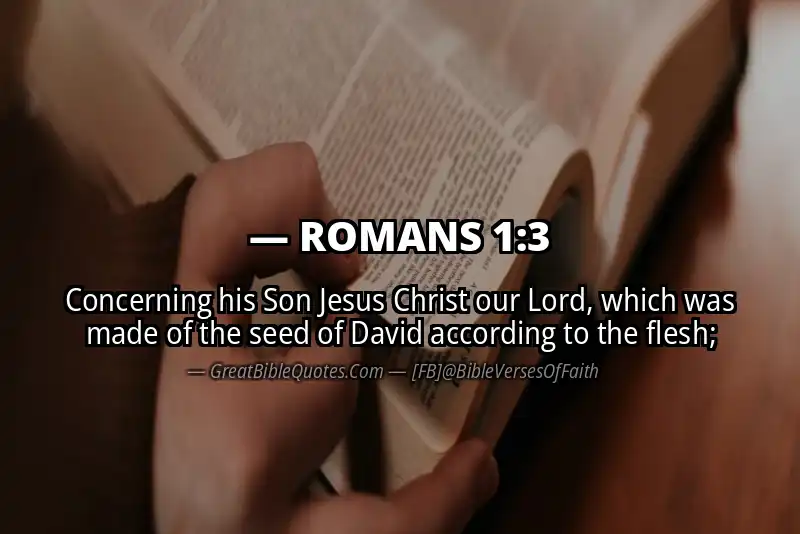 Bible verse: ROMANS 1:3 Image