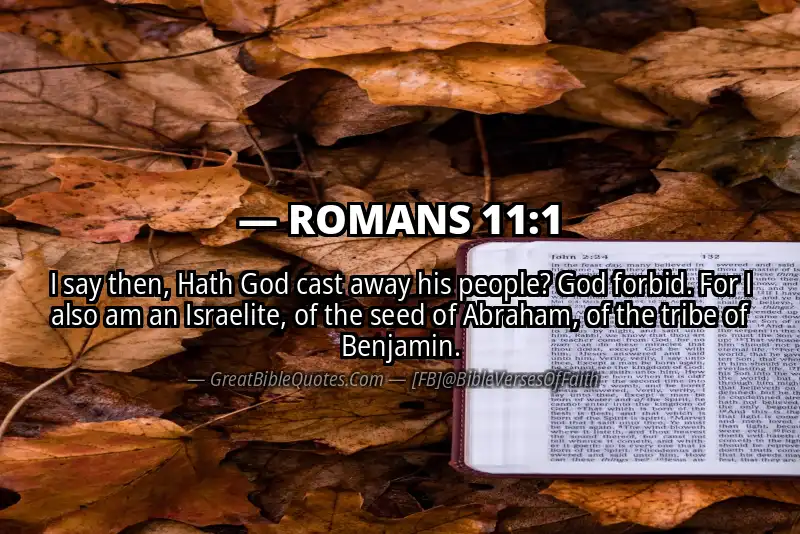 ROMANS 11:1 Verse