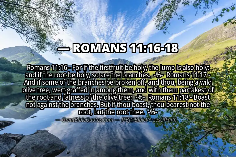 Image for ROMANS 11:16-18 Bible verse