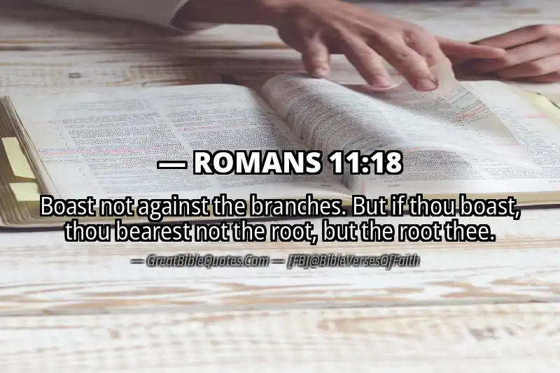 ROMANS 11:18 Verse