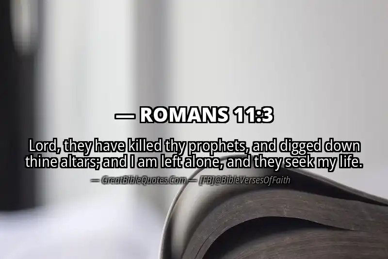 ROMANS 11:3 Verse