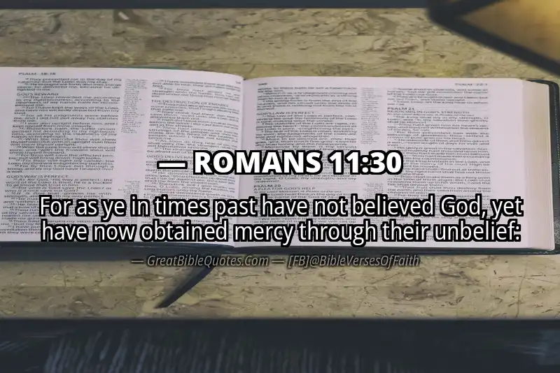 ROMANS 11:30 Verse Image