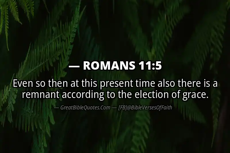 ROMANS 11:5 Verse