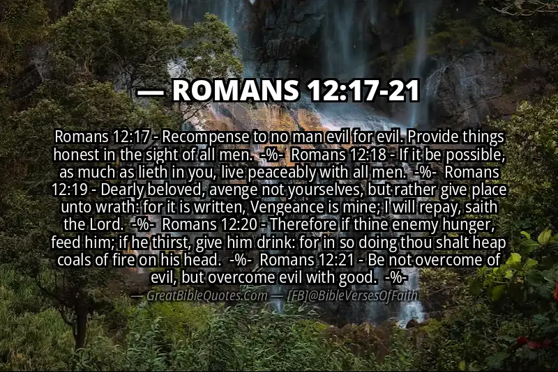 ROMANS 12:17-21 Verse Image