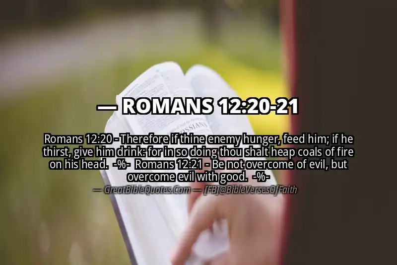 Image for ROMANS 12:20-21 Bible verse